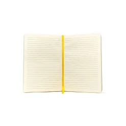 Exandria Unlimited Journal