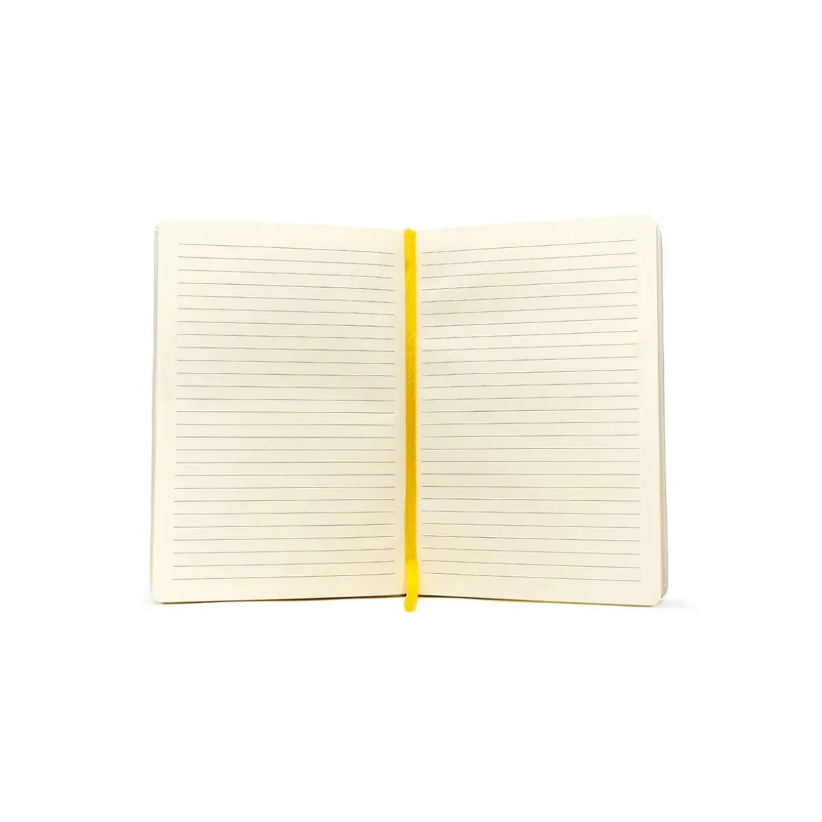 Exandria Unlimited Journal