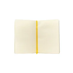 Exandria Unlimited Journal