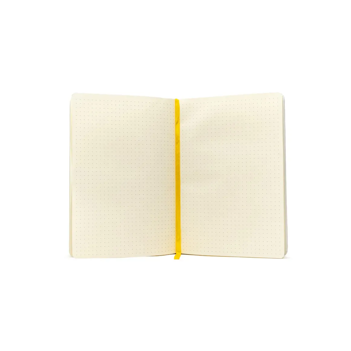 Exandria Unlimited Journal